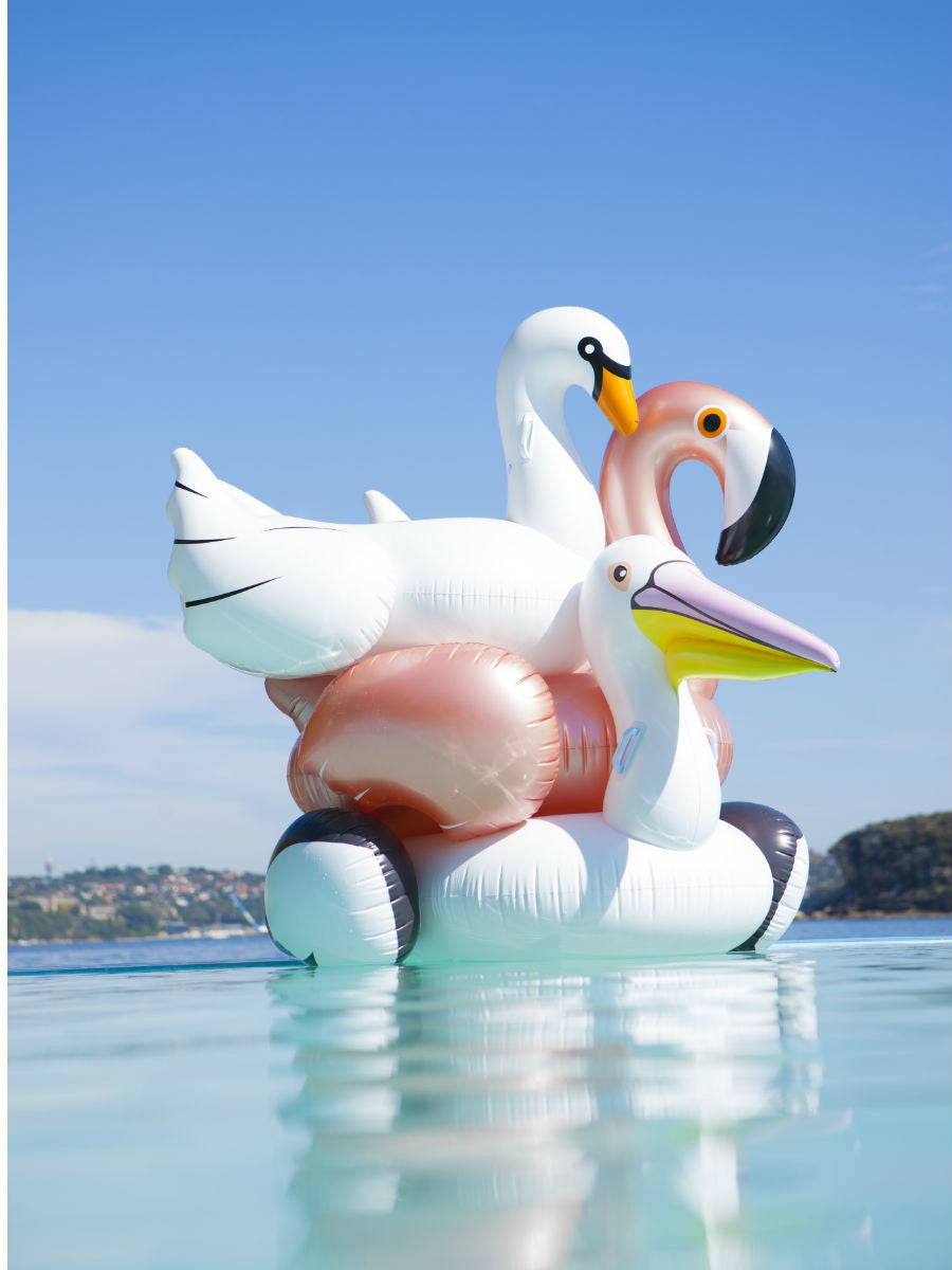 White Swans Inflatables Beach Life Australia - Sunnylife Inflatable Swan