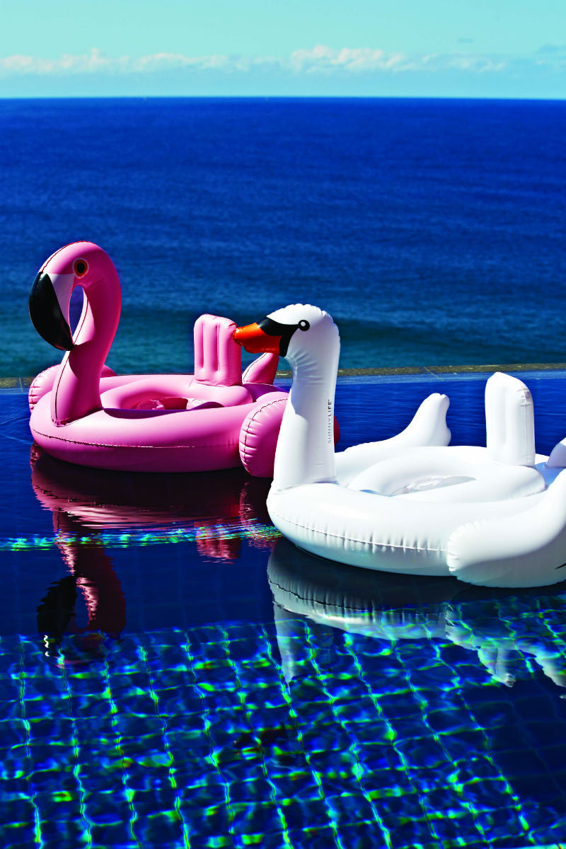 Swan top baby float